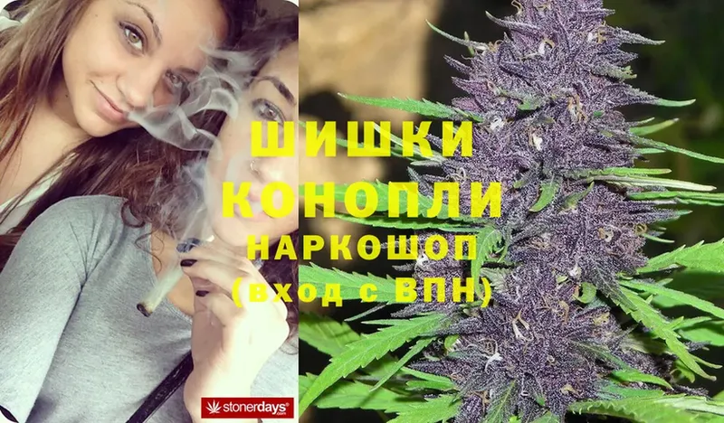 Бошки Шишки Ganja  сколько стоит  MEGA tor  Верхоянск 